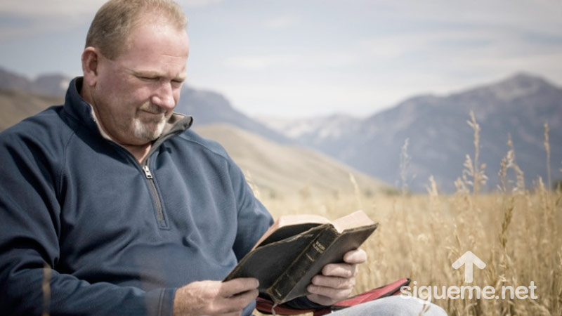 Hombre cristiano estudiando la Biblia al aire libre