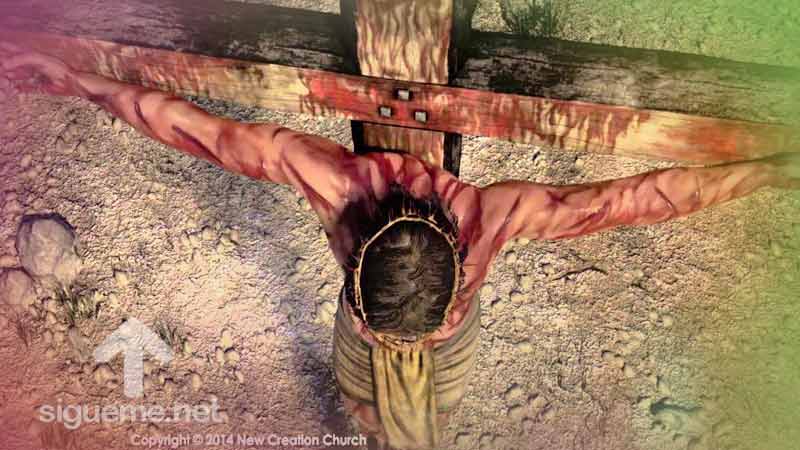 El dolor de Jesús en la Cruz