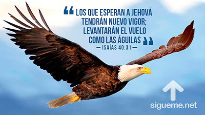 Aguila volando simbolo de andar cristian