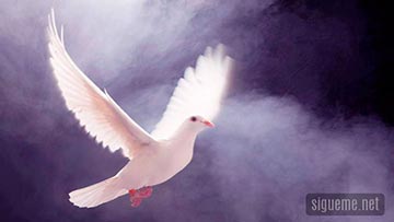 El Espíritu Santo está en la vida del creyente en todo momento