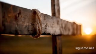 El evangelio confronta al hombre y lo expone tal cual es.