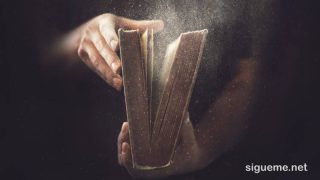 Aférrese a Cristo en este día, ejerza y cultive la fe en Dios y tómese de la esperanza Divina