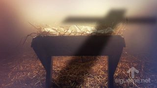 He aquí que la virgen concebirá y dará a luz un hijo, y llamarán su nombre Emanuel, que traducido es: Dios con nosotros.
