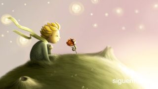 Ninño sobre un astro mirando una flor, reflexion