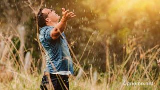 Pon en primer lugar la voluntad de Dios