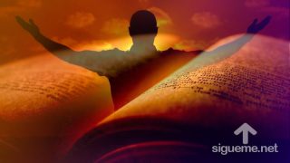 Pídale a Jesús que le guíe y alivie de sus cargas.