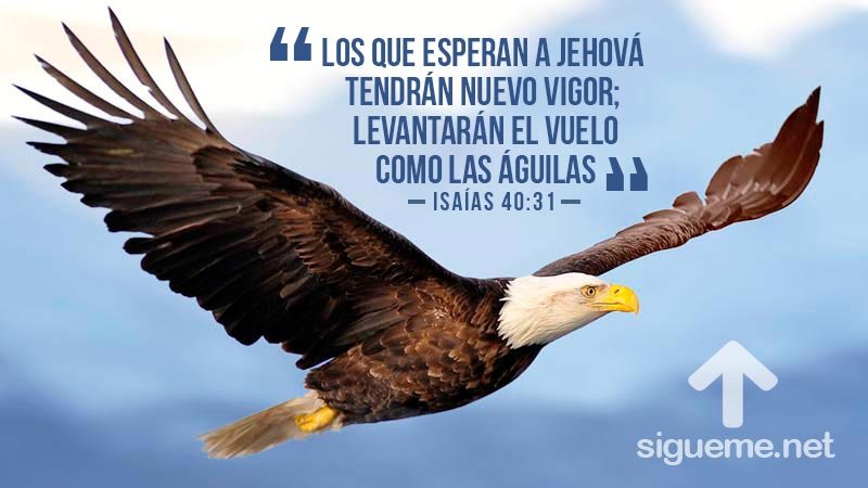 Dios nunca hace un ala para burlarse de un pobre pájaro, sino que llena un cielo azul con aire sobre el cual el ala puede volar. George D. Watson