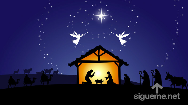La Navidad es Paz, no perfeccion | Ginger Garrett | Reflexion Cristiana de  Lucas 2