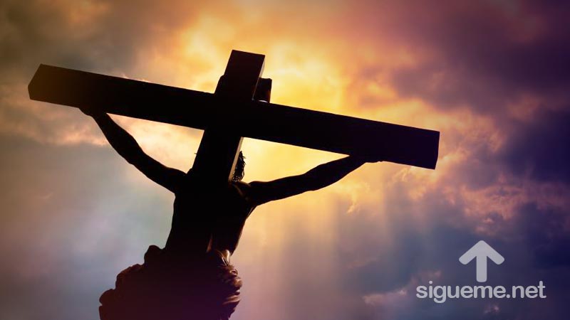 Jesús en la cruz es la demostración suprema del amor de Dios