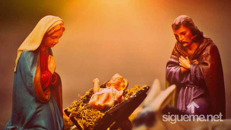 En esta Navidad, invite a Cristo a enviar su luz a los recovecos más profundos de su corazón