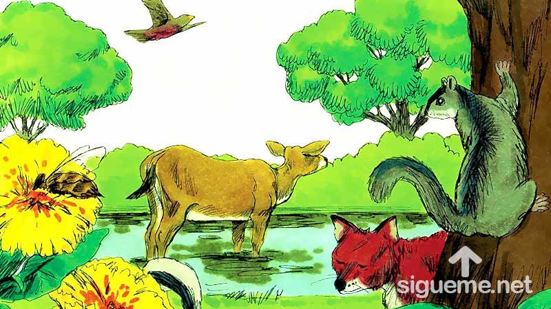 Ilustracion de la historia biblica  Dios crea los seres vivientes, los animales