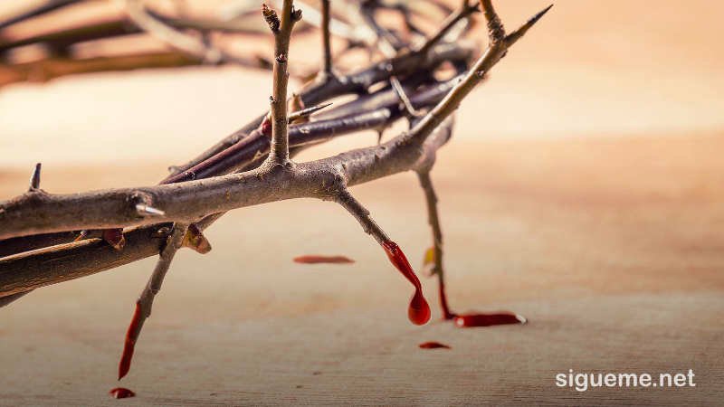 Cuando las Escrituras dicen que somos redimidos por la sangre de Cristo