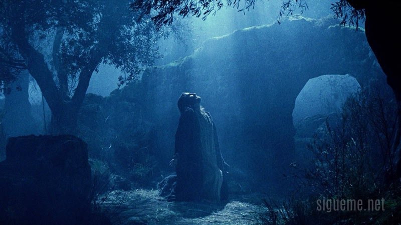 La Devocion Ejemplar de Jesus  Max Lucado