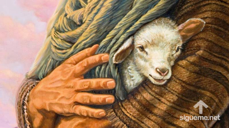 El buen pastor su vida da por sus ovejas