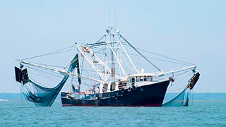 Barco pesquero en el Mar