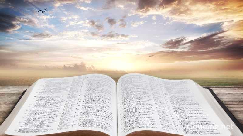 Tenemos que entrar en una dimensión espiritual, olvidarnos de nuestras cosas terrenales