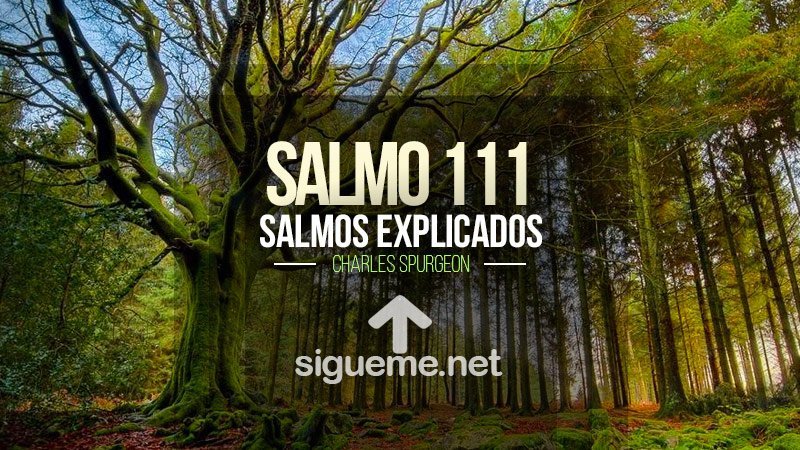 salmo-111-dios-cuida-de-su-pueblo