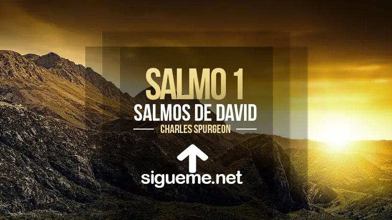 Salmo 1 - El justo y los pecadores