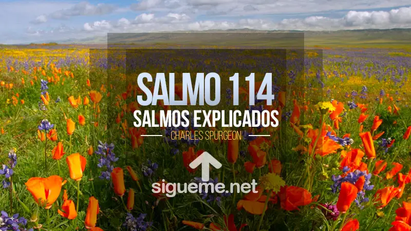 El Salmo 114, las maravillas del Éxodo