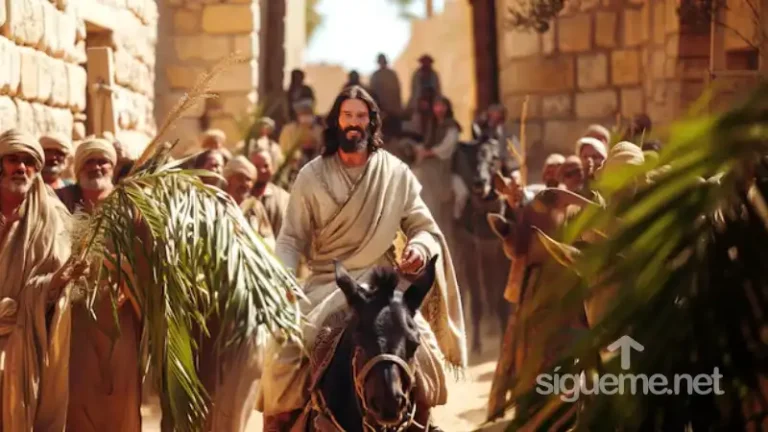 Domingo de Ramos: El burro que nadie quería