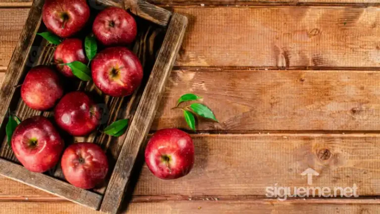 Dios y las Manzanas, anécdotas e ilustraciones para sermones